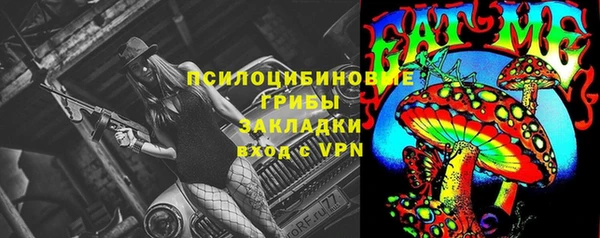 эйфоретик Медногорск