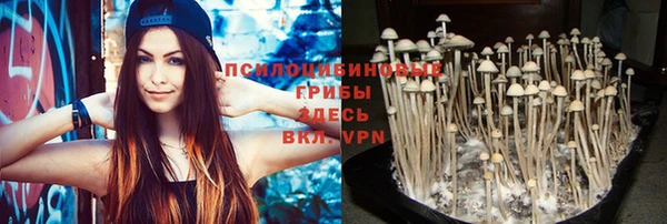 эйфоретик Медногорск