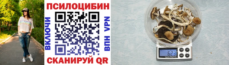 Псилоцибиновые грибы мухоморы  Купить  Оленегорск 